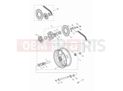 TRIUMPH Street Triple 765 R Rear wheel & final drive