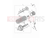 TRIUMPH Street Triple 765 R Clutch