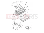 TRIUMPH Tiger 1200 Rally Pro Cylinder Head & Valves