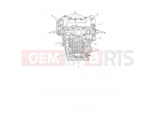 Triumph 2022 SPEED TRIPLE 1200 RS Crankcase Bolts