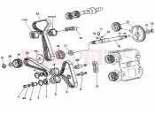 DUCATI Superbike 748 R Single-Seat TIMING BELT » UNCLASSIFIED