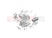 Triumph 2022 STREET SCRAMBLER Crankcase & Fittings