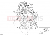 DUCATI 2024 Streetfighter V4 S Engine electric system