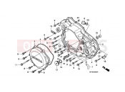 HONDA TRX450ER8 U 2008 E-6 R. CRANKCASE COVER (TRX450R4,5)