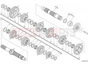DUCATI Panigale V2 Troy Bayliss Transmission
