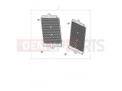 Triumph 2022 Tiger 900 Rally Pro Aluminium Radiator Guard