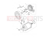 Triumph 2022 Tiger 900 Rally Pro Starter & Alternator
