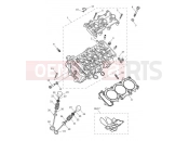 Triumph 2022 Tiger 900 Rally Pro Cylinder Head & Valves