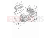 Triumph 2024 Tiger 1200 GT Explorer Crankcase & fittings