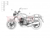 MOTOGUZZI V7 PALACE GUCCI (CND, USA) Decal