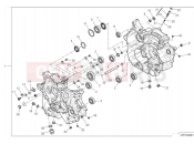 DUCATI Hypermotard 698 Mono Crankcase (1)