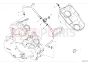 DUCATI 2024 Hypermotard 950 RVE Secondary air system