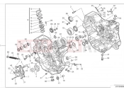 DUCATI Monster Crankcase (1)