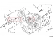 DUCATI Monster Shift cam & fork