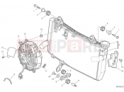 DUCATI Monster 30° Anniversario Water cooler