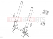 DUCATI Monster 30° Anniversario Front fork