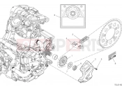DUCATI Monster 30° Anniversario Front sprocket & chain