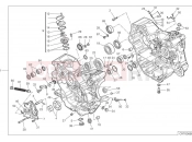 DUCATI Monster 30° Anniversario Crankcase (1)