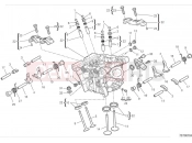 DUCATI Monster Plus Vertical cylinder head