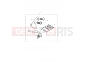 Triumph 2010 THUNDERBIRD Restrictor Kit, 25KW, Tamper Evident