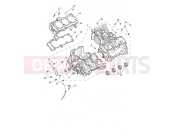 TRIUMPH Tiger 1200 GT Crankcase & Fittings