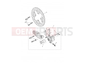 TRIUMPH Tiger 1200 GT Rear Brake Caliper & Discs