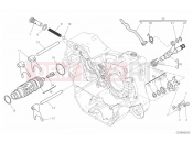 DUCATI Scrambler Cafe Racer SHIFT CAM & FORK