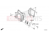 HONDA Forza 350 (NSS350AR) 2024 E-6 CYLINDER/REED VALVE