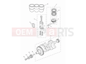 TRIUMPH Tiger 900 GT Pro Crankshaft, connecting rods, pistons & liners