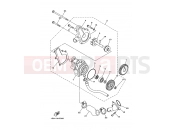 YAMAHA YFM 700 Raptor YFM700R YFM70RW RAPTOR 700R (1S37) 2007 WATER PUMP