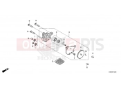 HONDA AFRICA TWIN 1100 DCT CRF1100DS 2025 E-14 OIL PUMP