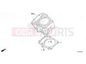 HONDA CBF300NAS CB300R ABS Neo Sports Café 2025  E-5 CYLINDER