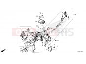 HONDA CBF300NAS CB300R ABS Neo Sports Café 2025  F-38 WIRE HARNESS (1)