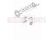 TRIUMPH Speed Triple 1200 RR Rear brake caliper & discs