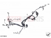 BMW Motorrad BMW 2025 F models F 900 R A2 25 (0K91) Main wiring harness