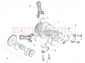 APRILIA Tuono 660 Factory (America)  Cranckshaft