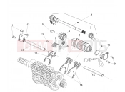 APRILIA Tuono 660 Factory (America)  Gear box / Selector / Shift cam