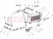 DUCATI Supersport 750 SS OIL COOLER DM 009756 » LUBRICATION SYSTEM