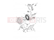 Triumph 2022 Tiger 1200 GT Explorer Starter & Alternator