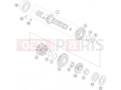 GASGAS  TRANSMISSION I - MAIN SHAFT