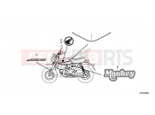 HONDA Z125 MONKEY (Z125MAM) 2021 F-50 MARK/STRIPE