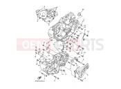 YAMAHA YFZ 450 YFZ450V YFZ450 50TH ANNIVERSARY SE (5TGG) 2006 CRANKCASE