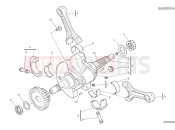 DUCATI Desert X Discovery Crankshaft