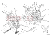 DUCATI Desert X Discovery Crankcase bearings