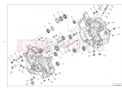 DUCATI Hypermotard 698 Mono Crankcase