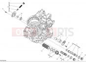 DUCATI Hypermotard 698 Mono Oil pump