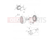 TRIUMPH Street Triple R Starter & Alternator
