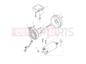 TRIUMPH Bonneville Bobber alternator & starter motor