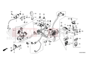 HONDA DAX 125 (ST125AP) 2022 F-38 WIRE HARNESS
