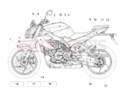 APRILIA Tuono 457 (CA, USA) Decal